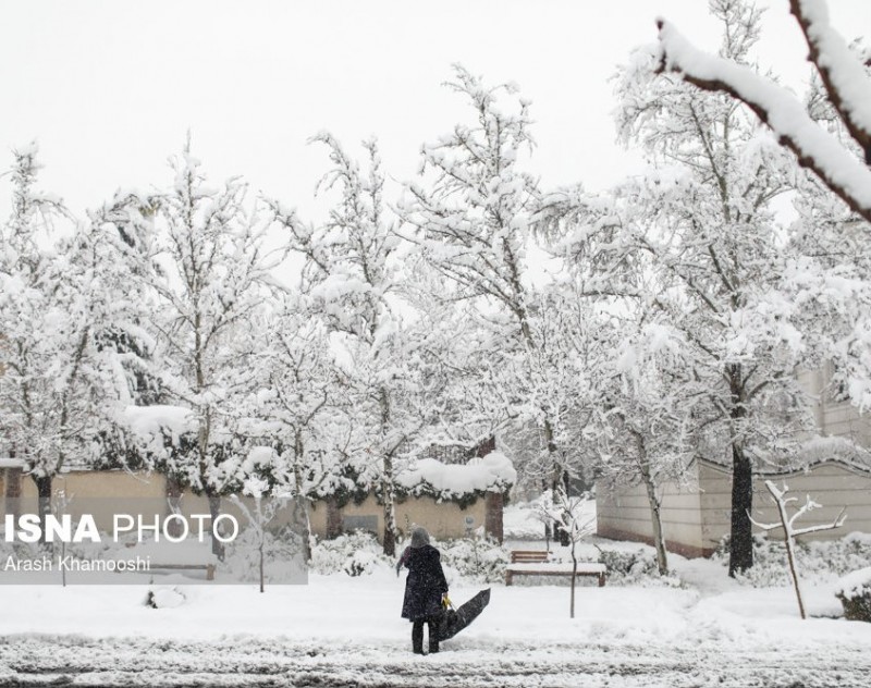 иран тегеран зима снег снегопад